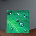Dewdrop Leaf Floral Card – Acrylic Painting Design