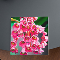 Pink Cluster Floral Card – Acrylic Painting Design