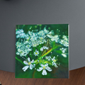 White Blossom Floral Card – Acrylic Painting Design