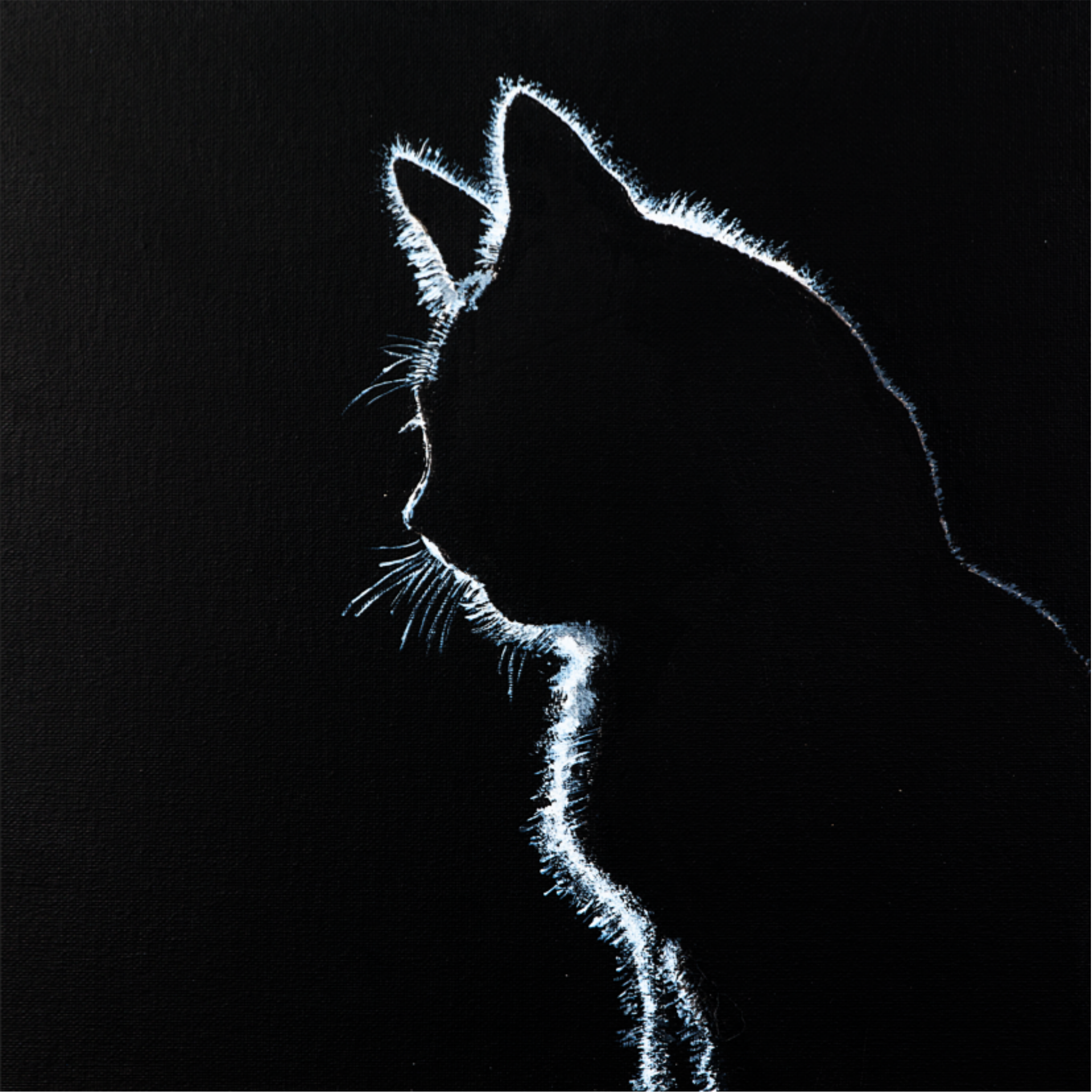 Original Acrylic Cat Silhouette Art Card – Glowing Profile