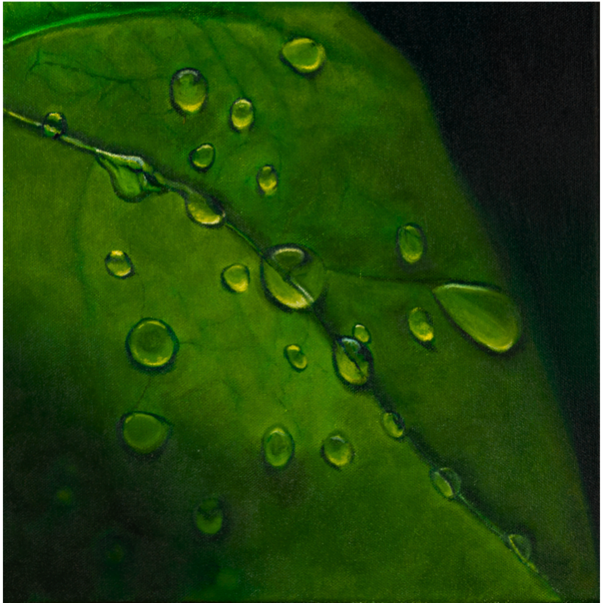 Dewdrop Leaf Floral Card – Acrylic Painting Design