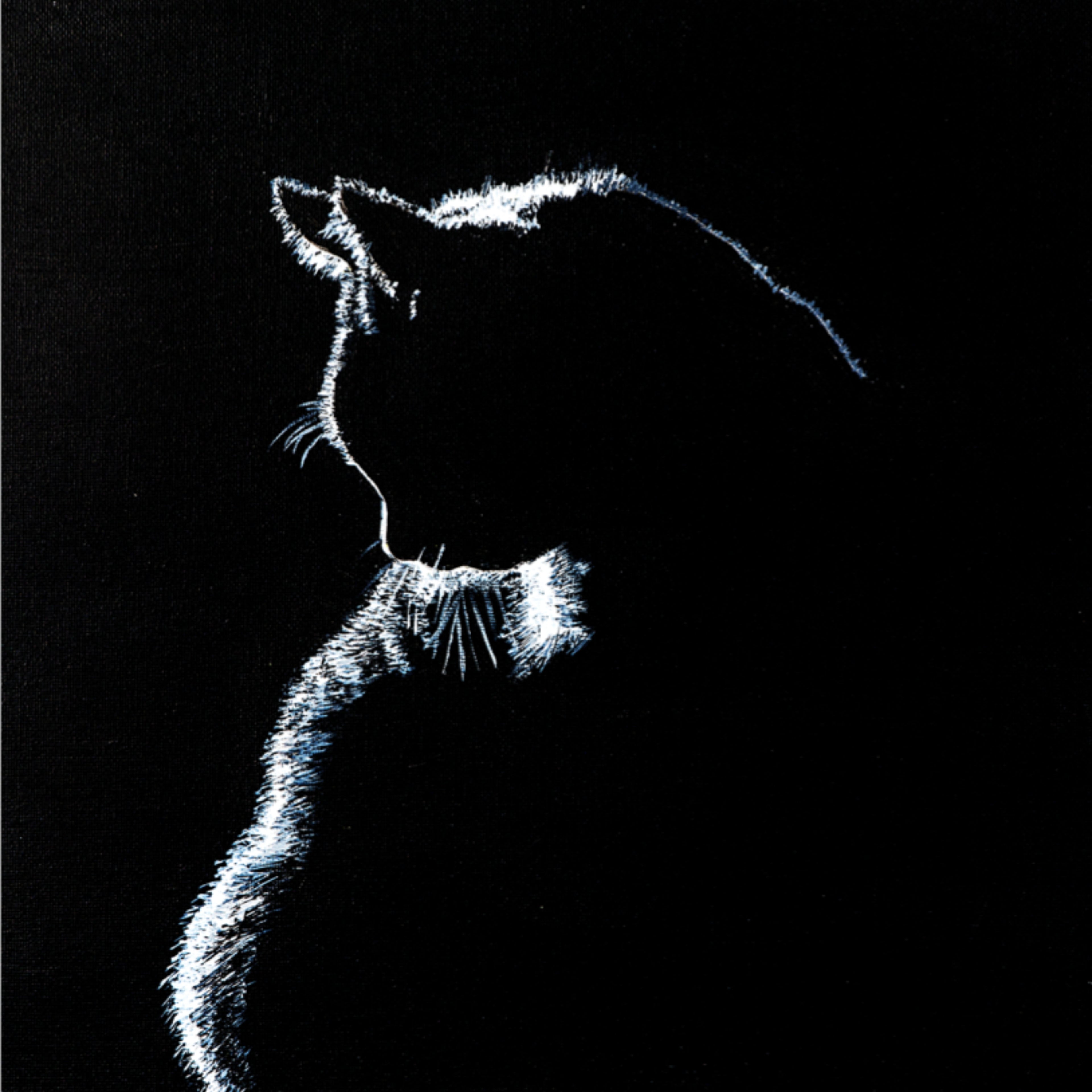 Stroke of Light – Blank Greeting Card with Craft Envelope & Minimalist Cat Silhouette