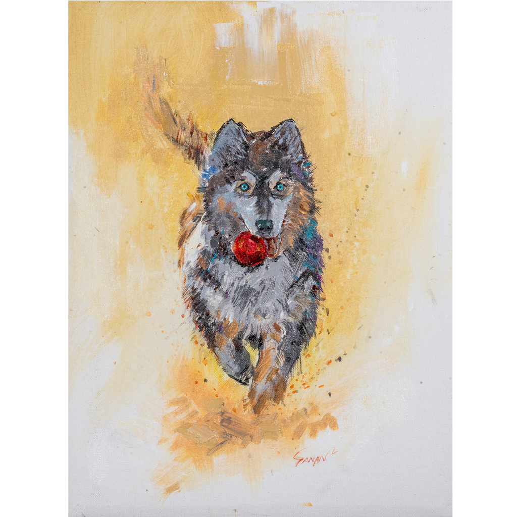 Playful Husky with Red Ball Canvas Print – A3 Energetic Dog Wall Art