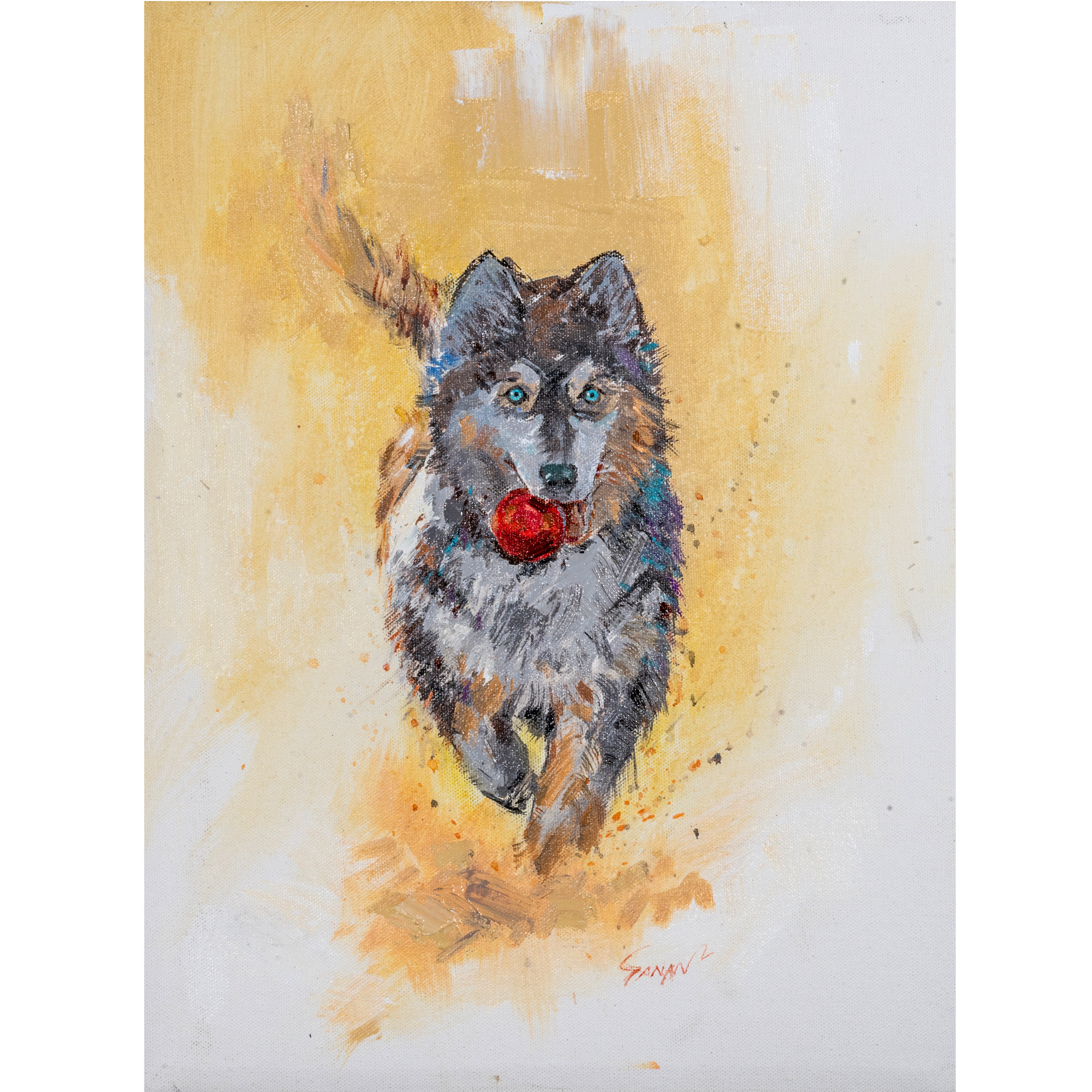 Playful Husky with Red Ball Canvas Print – A3 Energetic Dog Wall Art