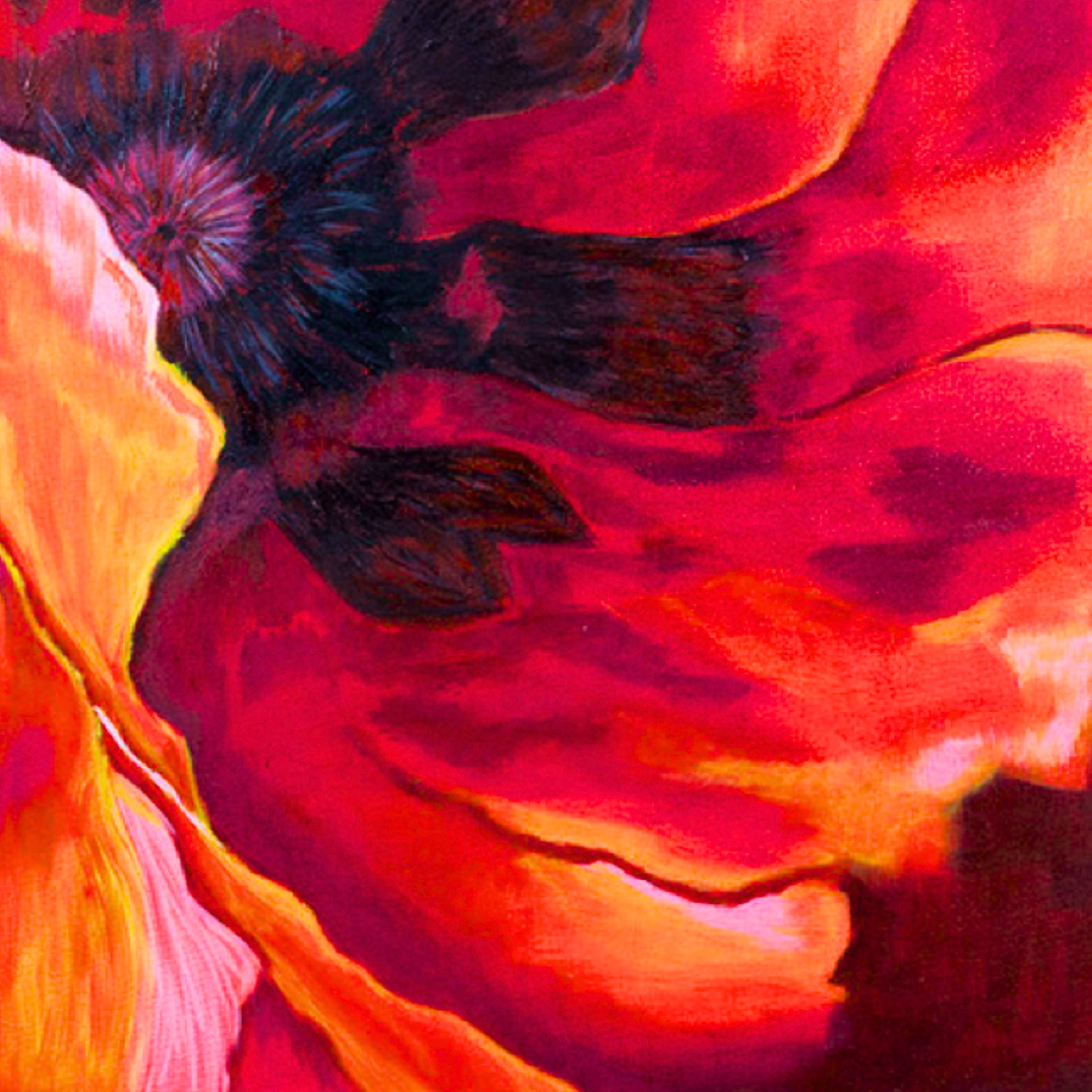 Fiery Poppy Canvas Print – A3 Bold Red Floral Wall Art