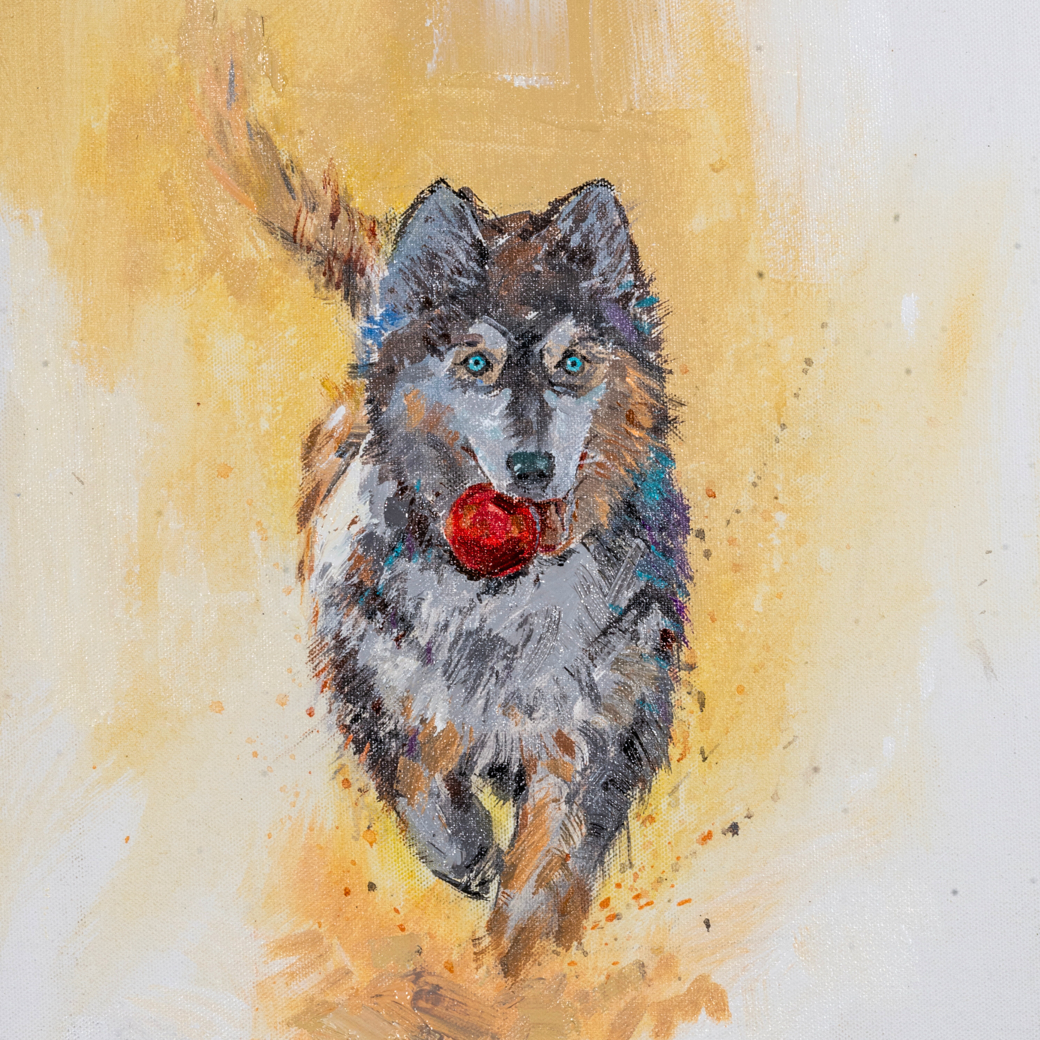 Playful Husky with Red Ball Canvas Print – A3 Energetic Dog Wall Art