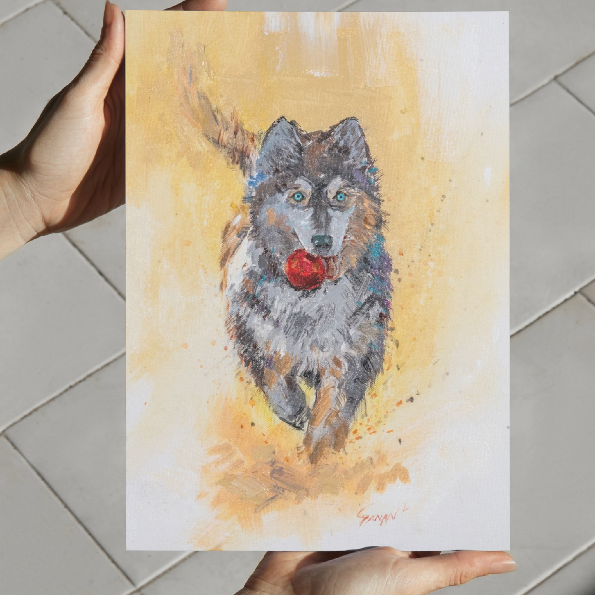 Playful Husky with Red Ball Canvas Print – A3 Energetic Dog Wall Art