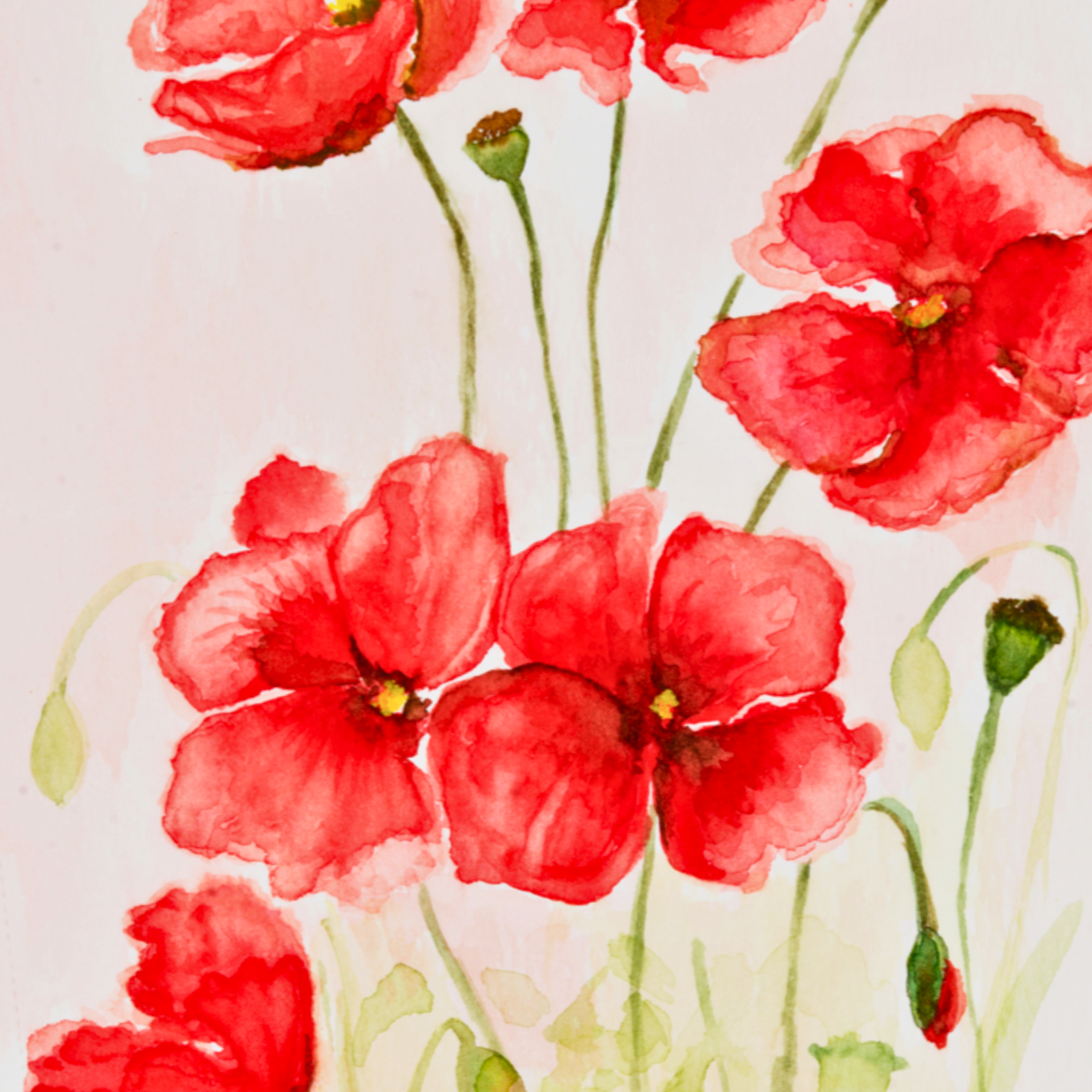 Red Poppies Mug – Watercolor Floral Ceramic Coffee Mug