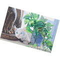 Original Acrylic White Cat with Green & Blue Eyes Art Card
