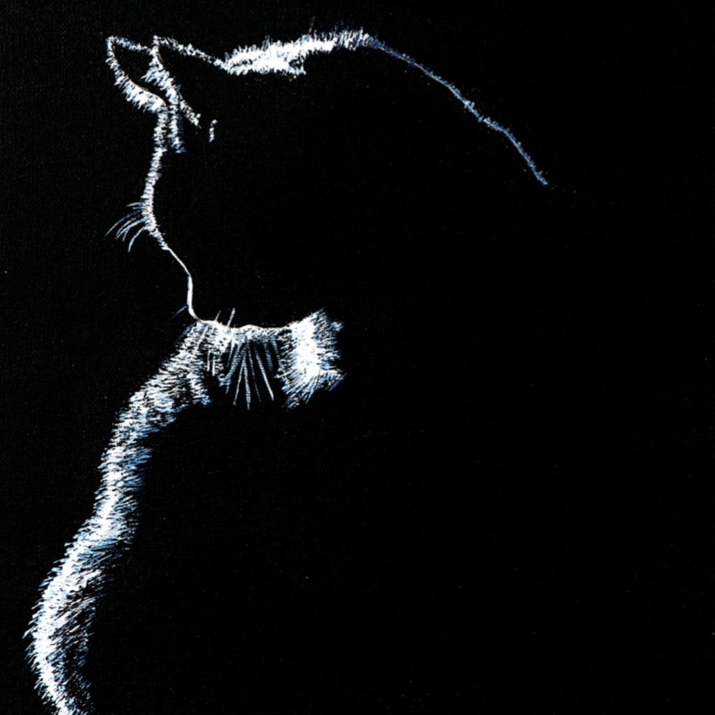 Stroke of Light – Blank Greeting Card with Craft Envelope & Minimalist Cat Silhouette