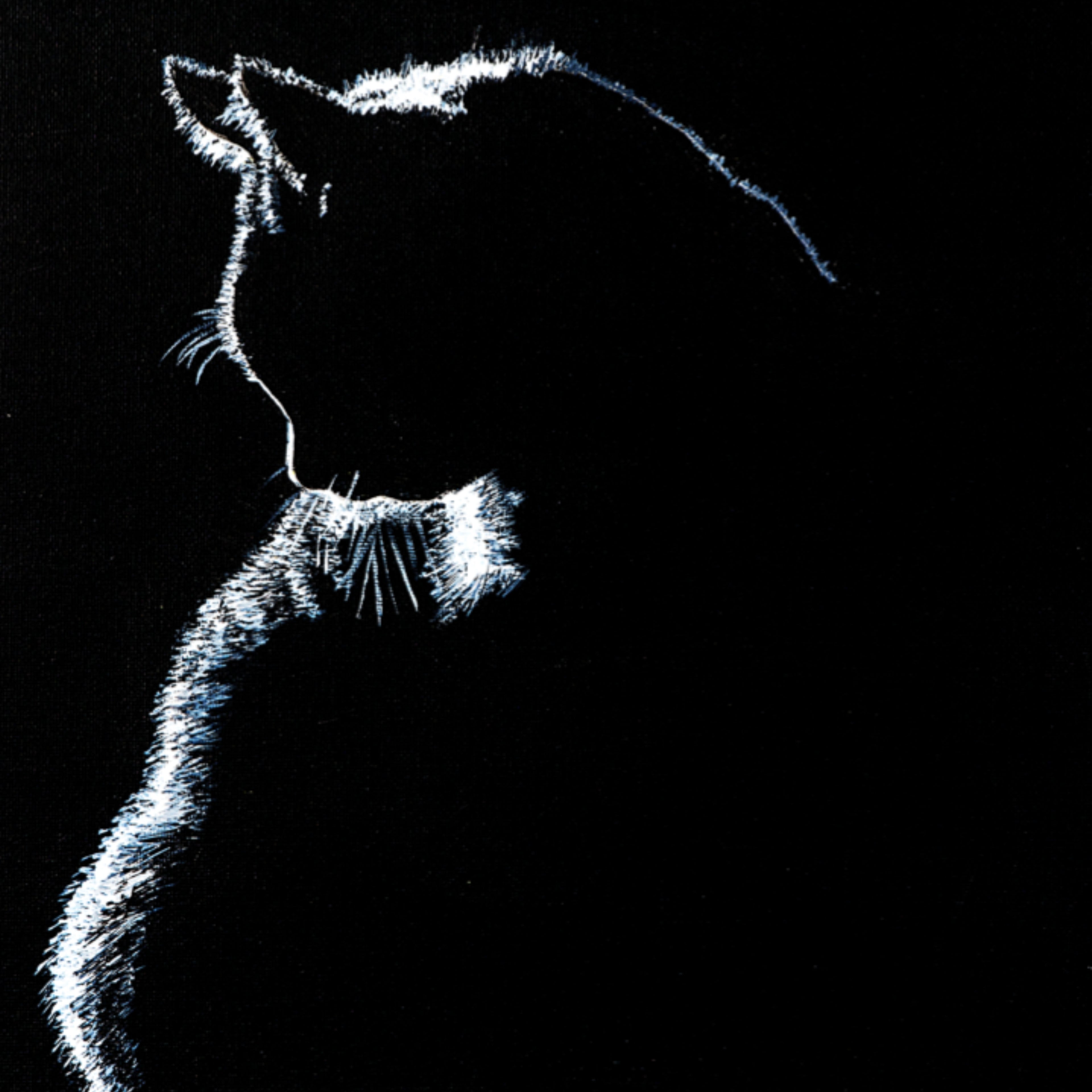 Stroke of Light – Blank Greeting Card with Craft Envelope & Minimalist Cat Silhouette