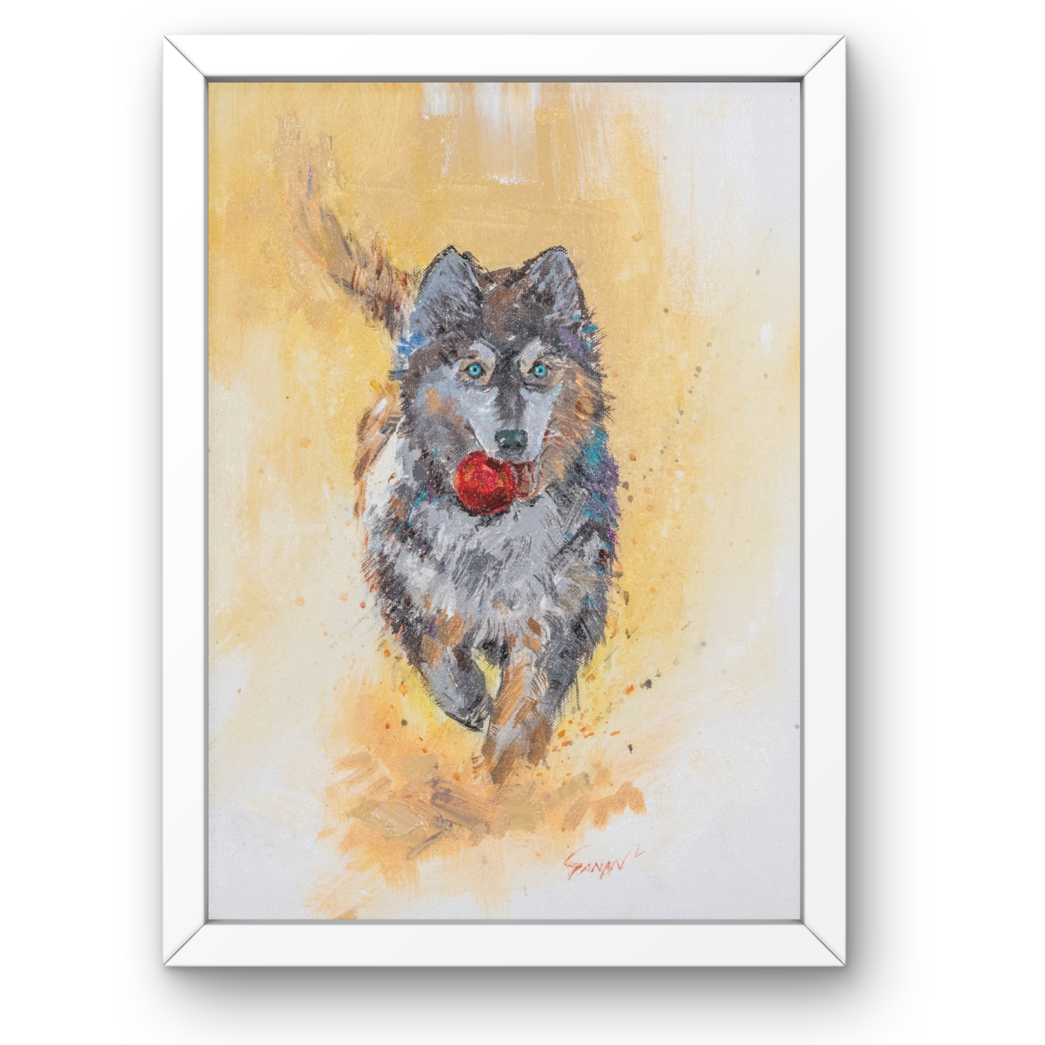 Playful Husky with Red Ball Canvas Print – A3 Energetic Dog Wall Art