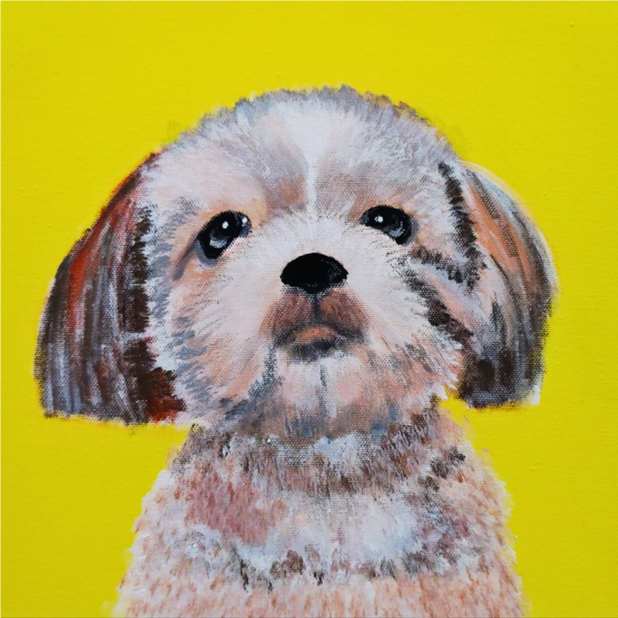 Lhasa Apso Portrait on Yellow Background Canvas Print – A3 Cheerful Dog Wall Art