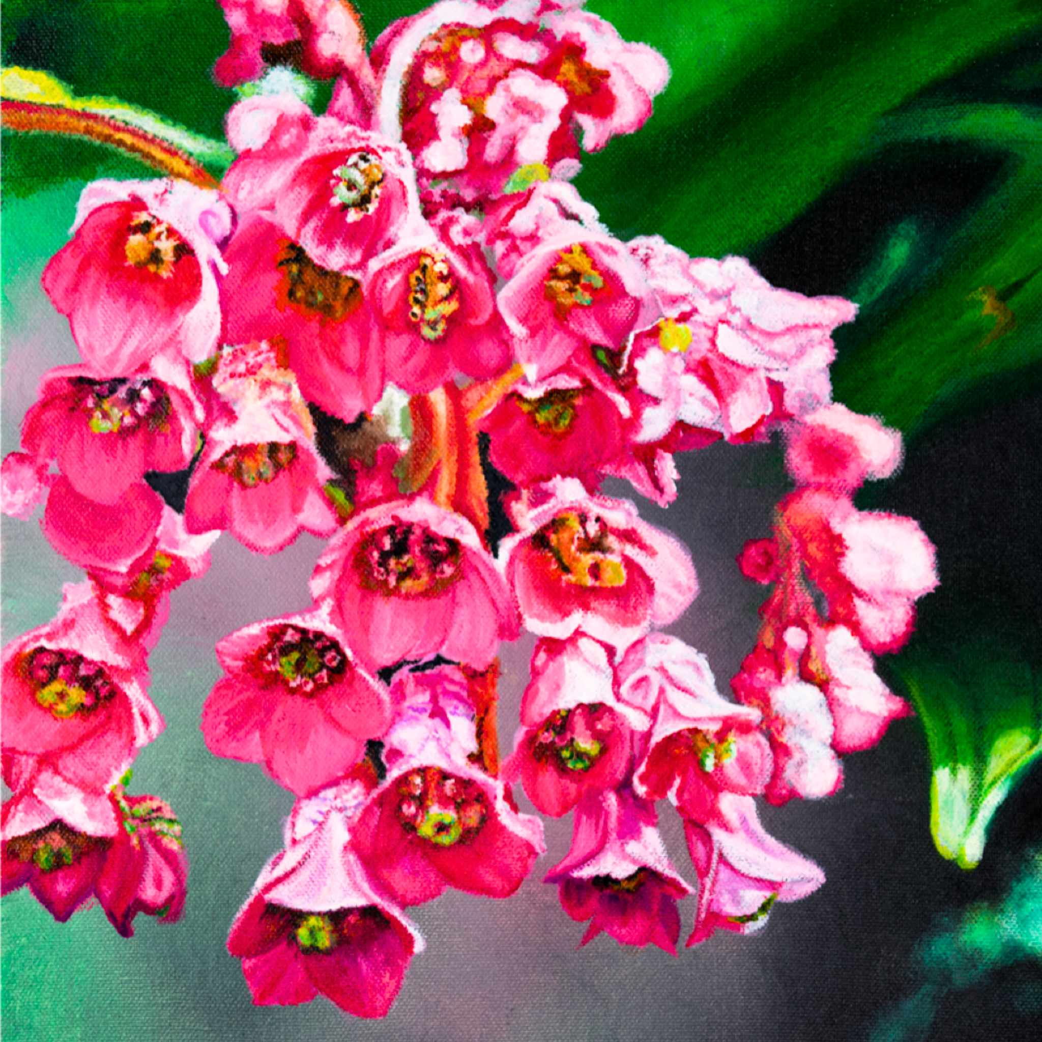 Pink Frankincense Flowers Canvas Print – A3 Botanical Wall Art