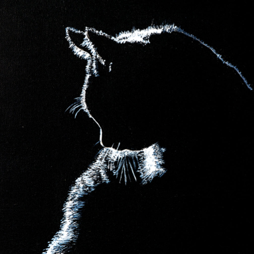 Stroke of Light – Blank Greeting Card with Craft Envelope & Minimalist Cat Silhouette