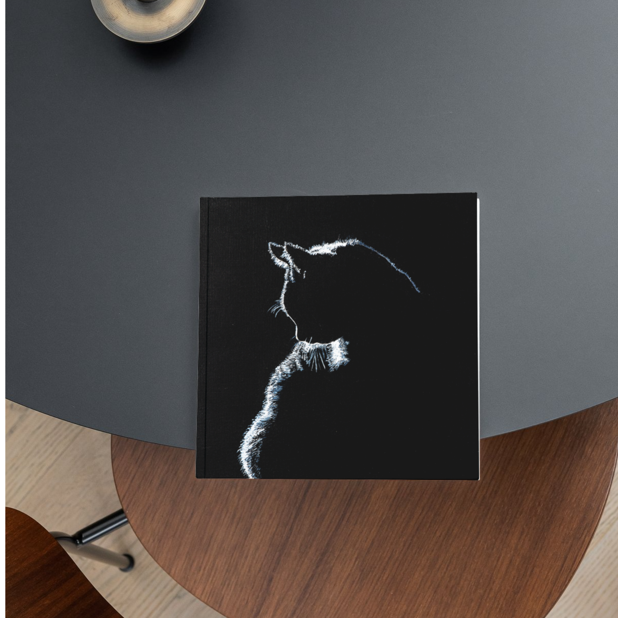 Stroke of Light – Blank Greeting Card with Craft Envelope & Minimalist Cat Silhouette