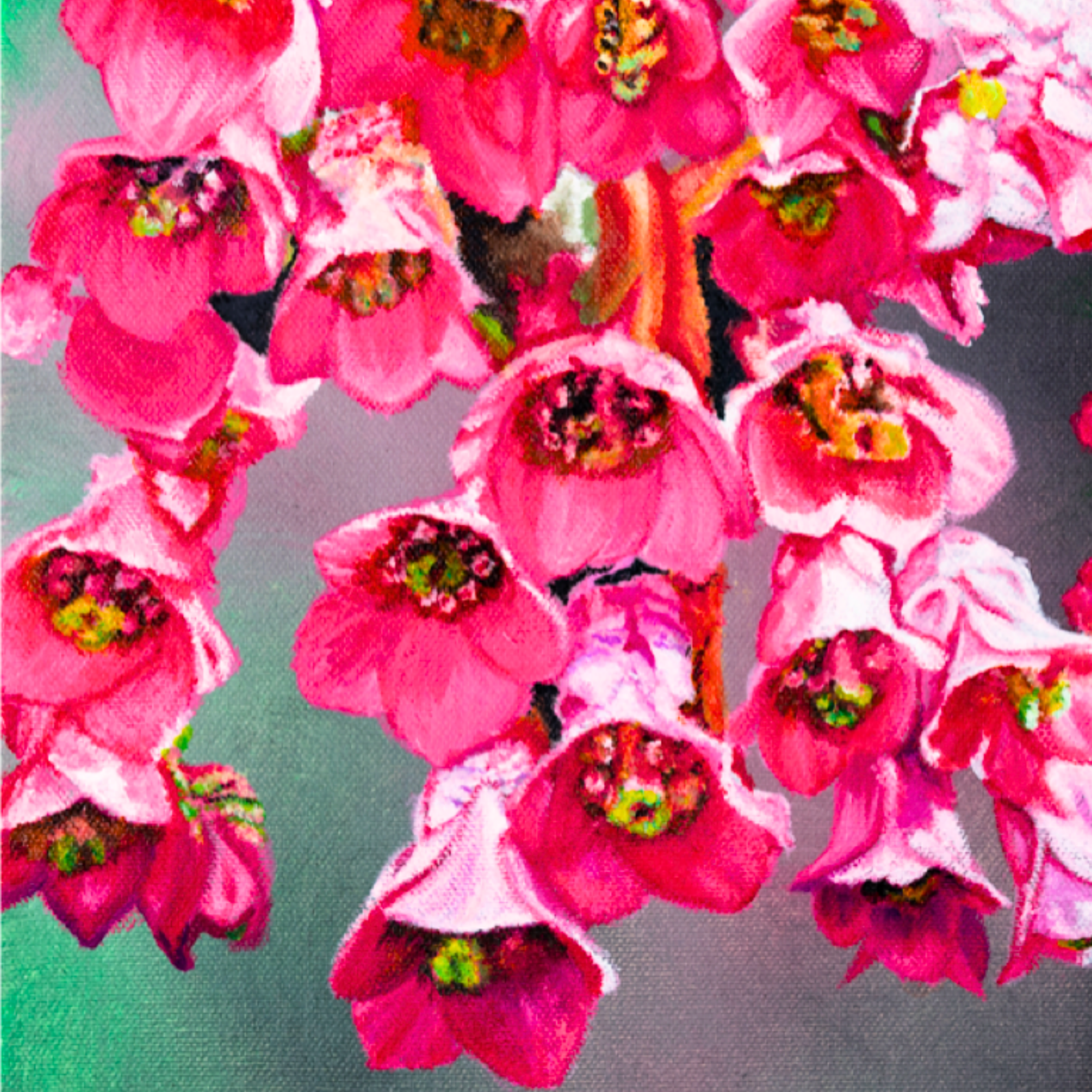 Pink Frankincense Flowers Canvas Print – A3 Botanical Wall Art