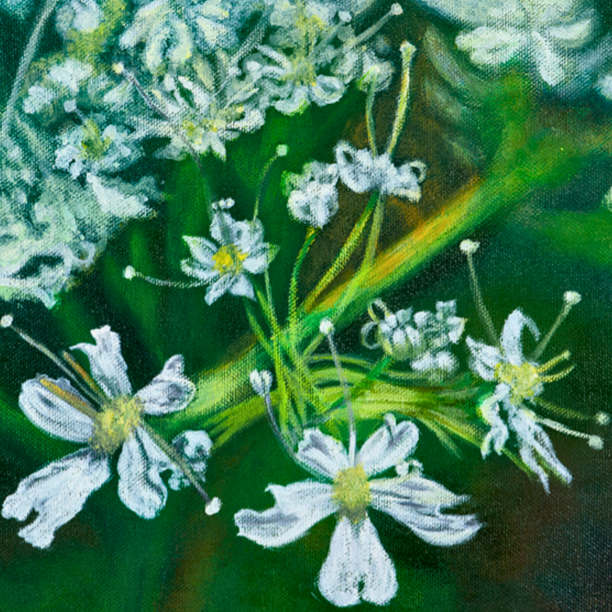 White Myrrh Flowers Canvas Print – A3 Botanical Wall Art