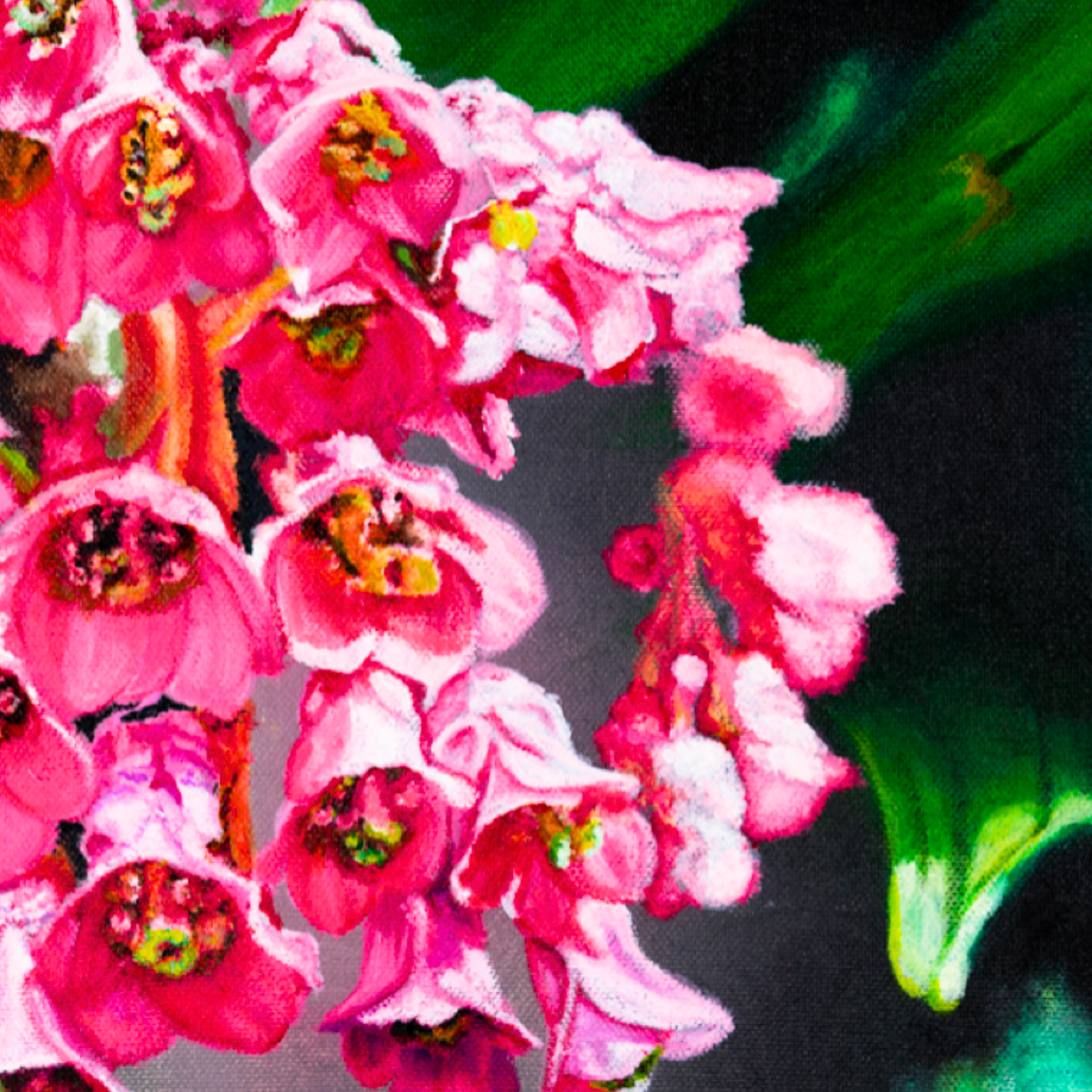 Pink Frankincense Flowers Canvas Print – A3 Botanical Wall Art