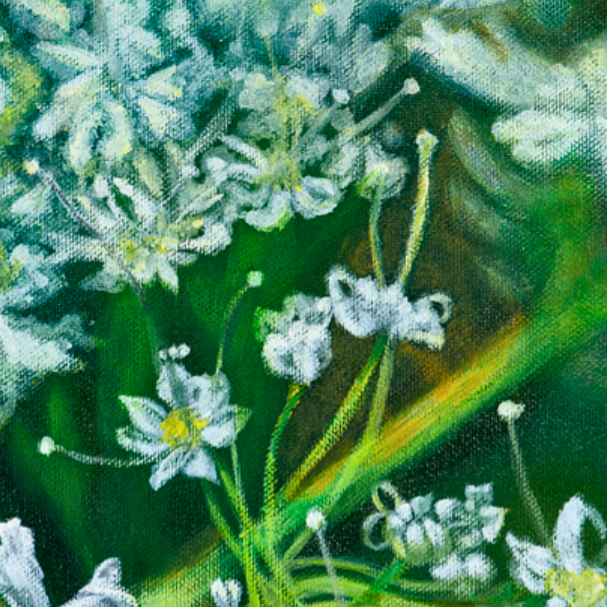 White Myrrh Flowers Canvas Print – A3 Botanical Wall Art