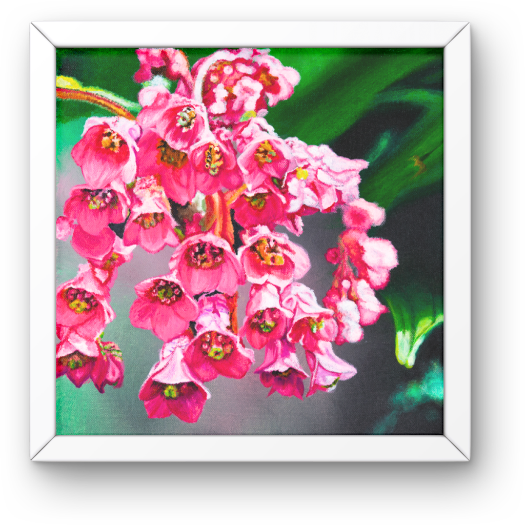 Pink Frankincense Flowers Canvas Print – A3 Botanical Wall Art