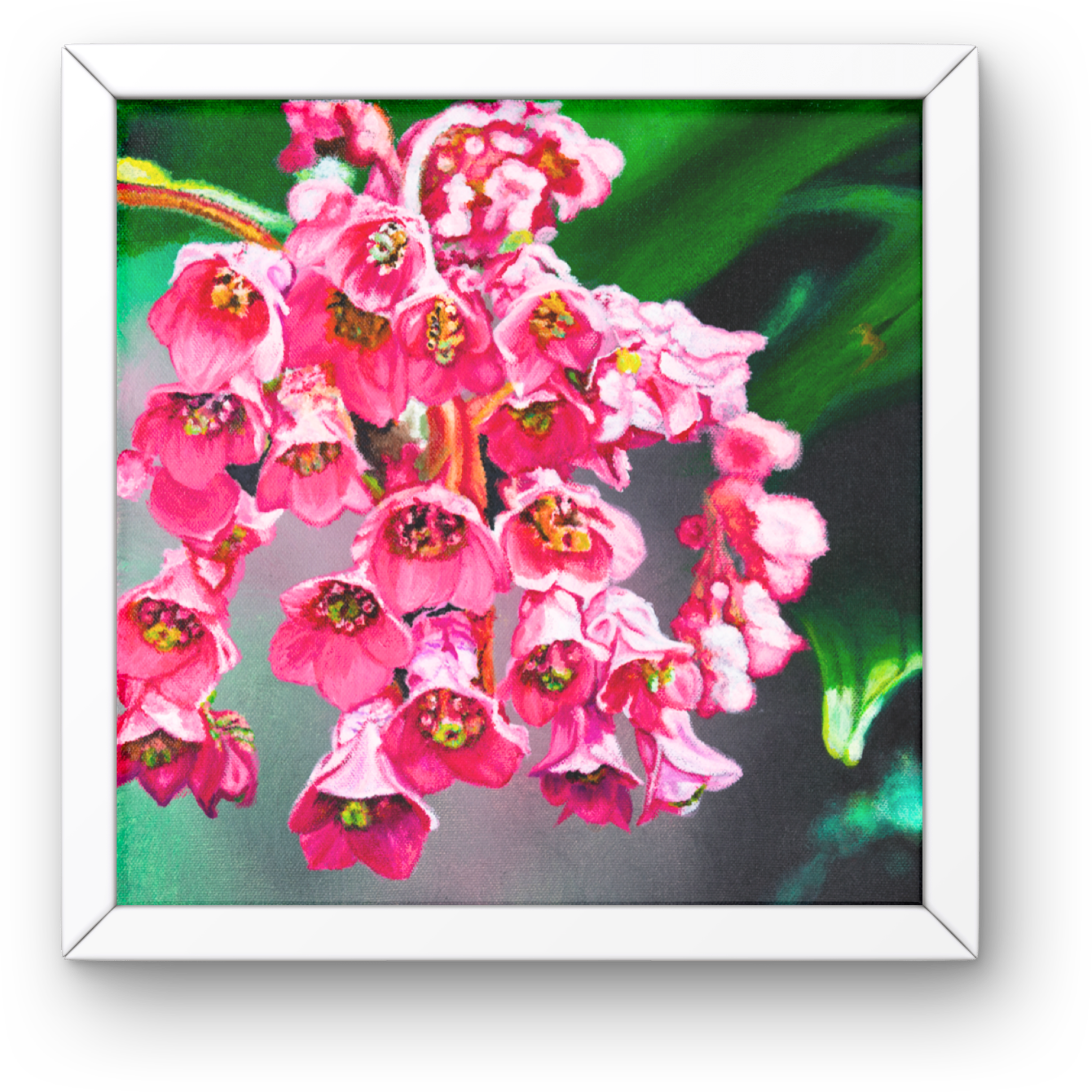 Pink Frankincense Flowers Canvas Print – A3 Botanical Wall Art