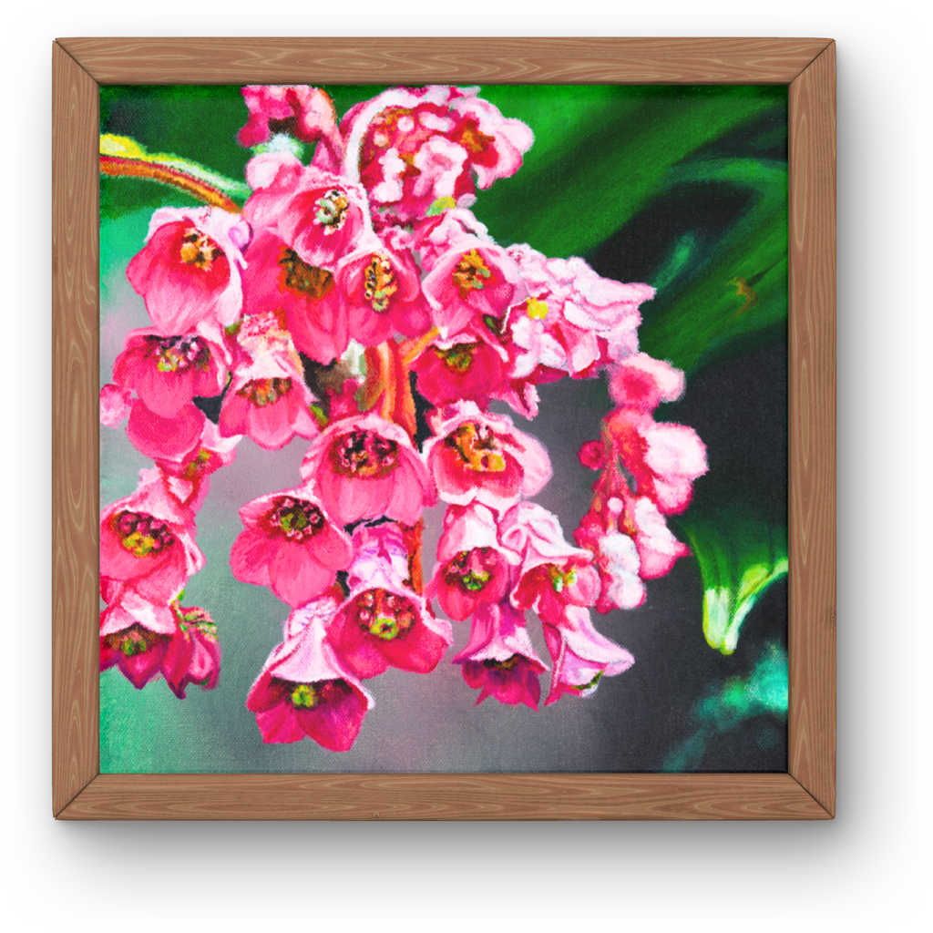 Pink Frankincense Flowers Canvas Print – A3 Botanical Wall Art