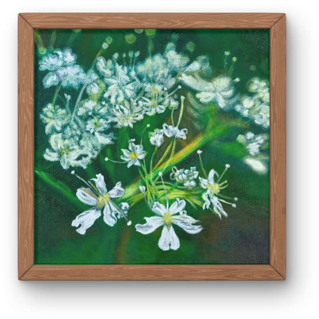 White Myrrh Flowers Canvas Print – A3 Botanical Wall Art