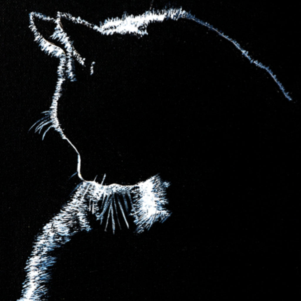 Stroke of Light – Blank Greeting Card with Craft Envelope & Minimalist Cat Silhouette