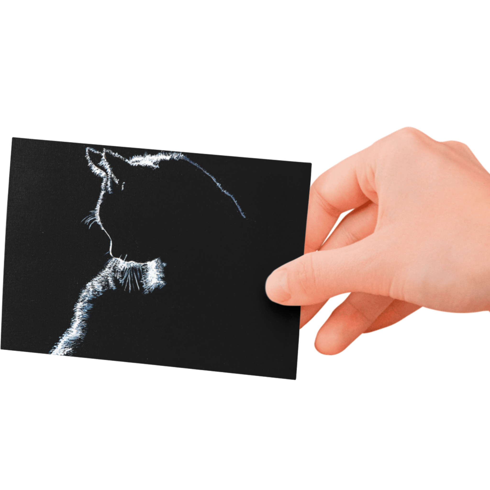 Stroke of Light – Blank Greeting Card with Craft Envelope & Minimalist Cat Silhouette