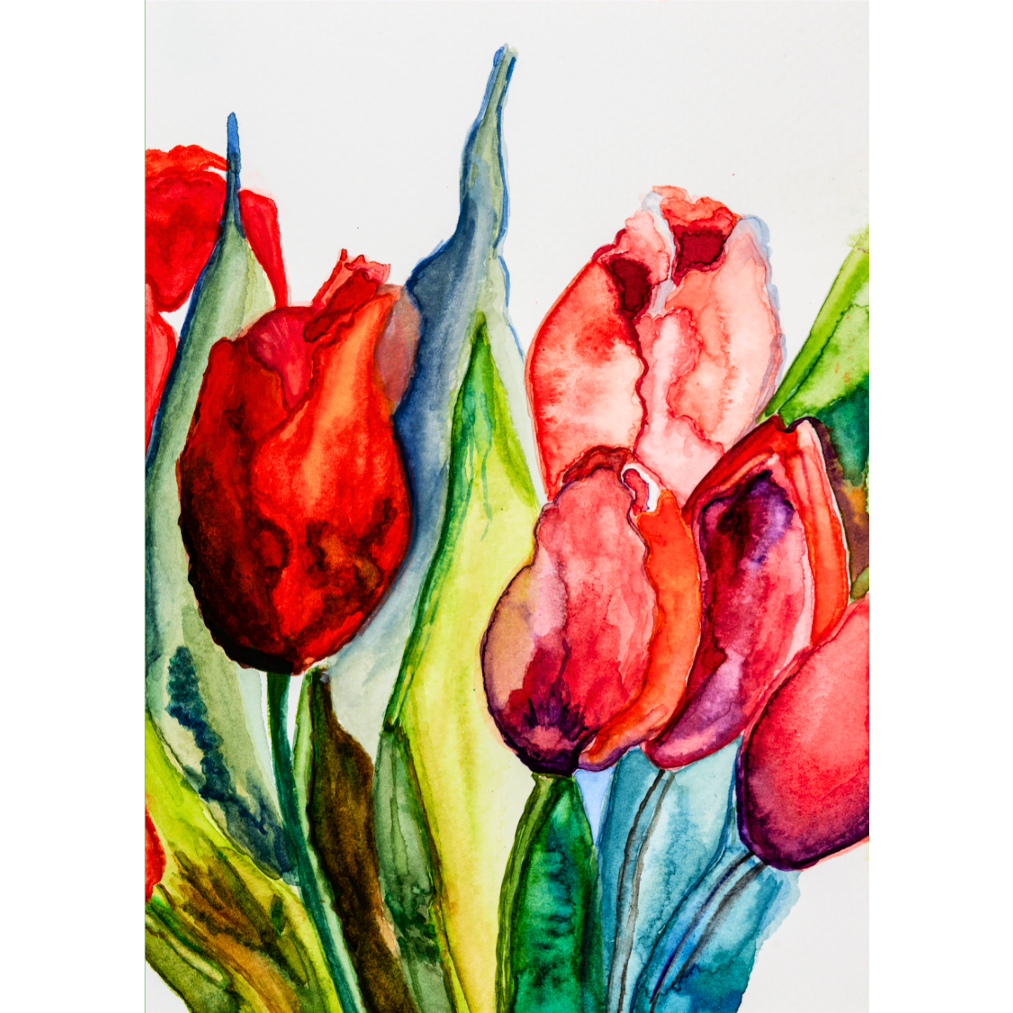 Watercolor Tulips Floral Card – Elegant Painting Design