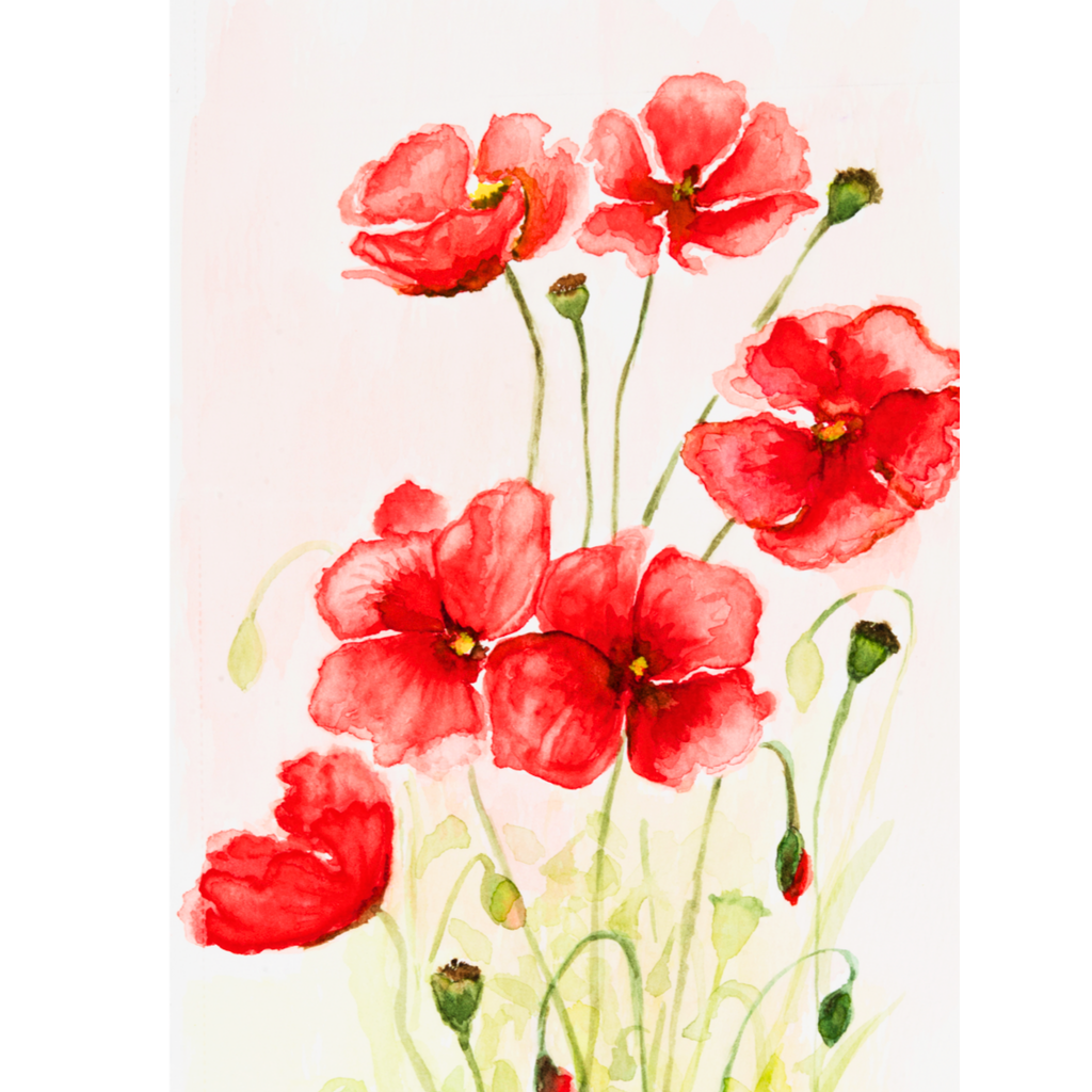 Red Poppies Floral Card – Watercolor Painting Design
