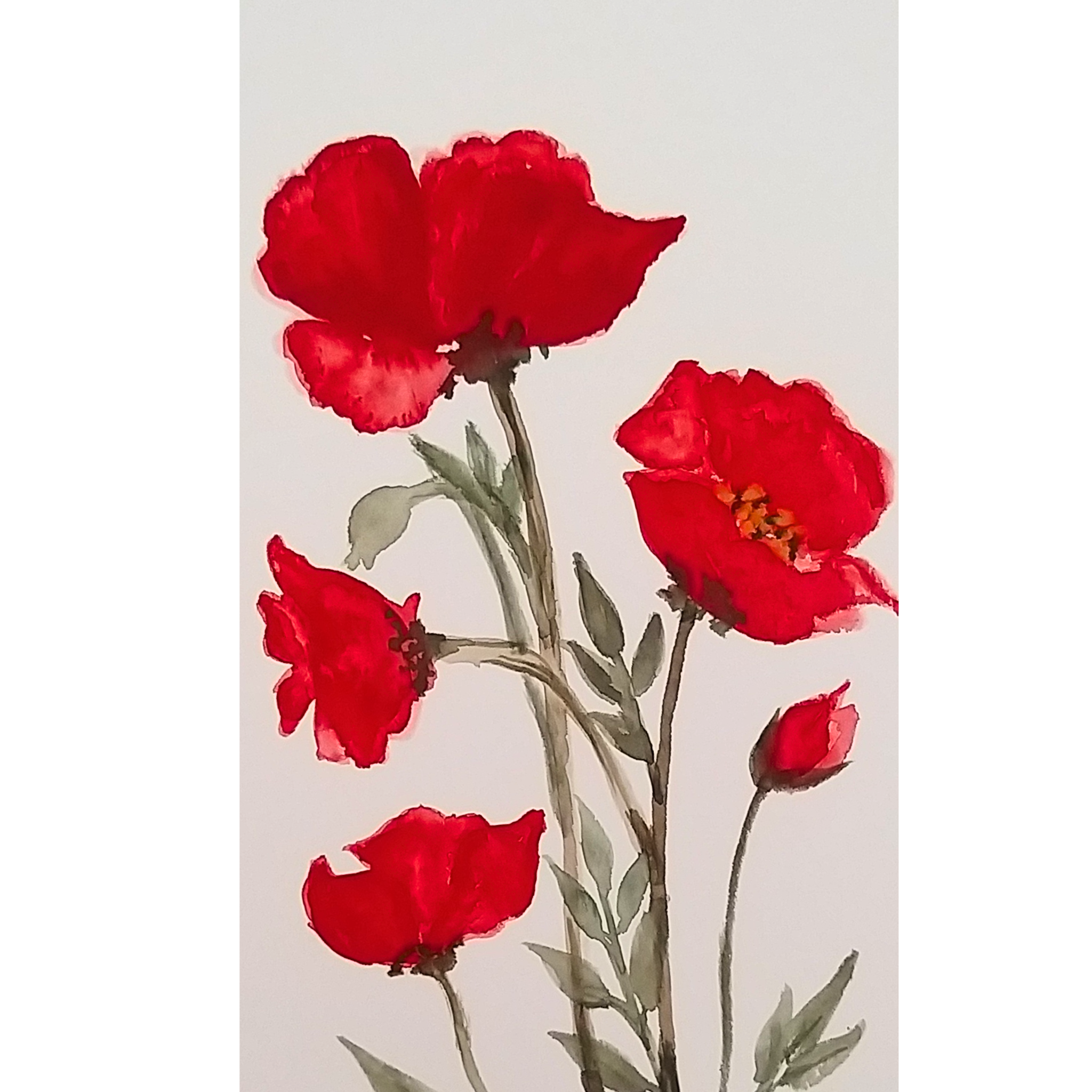Red Poppies Floral Card – Watercolor Painting Design